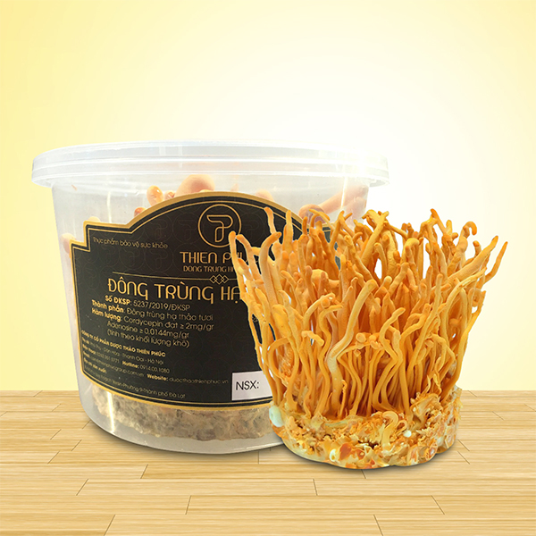Thực phẩm bảo vệ sức khỏe Đông trùng hạ thảo nuôi cấy nguyên hộp