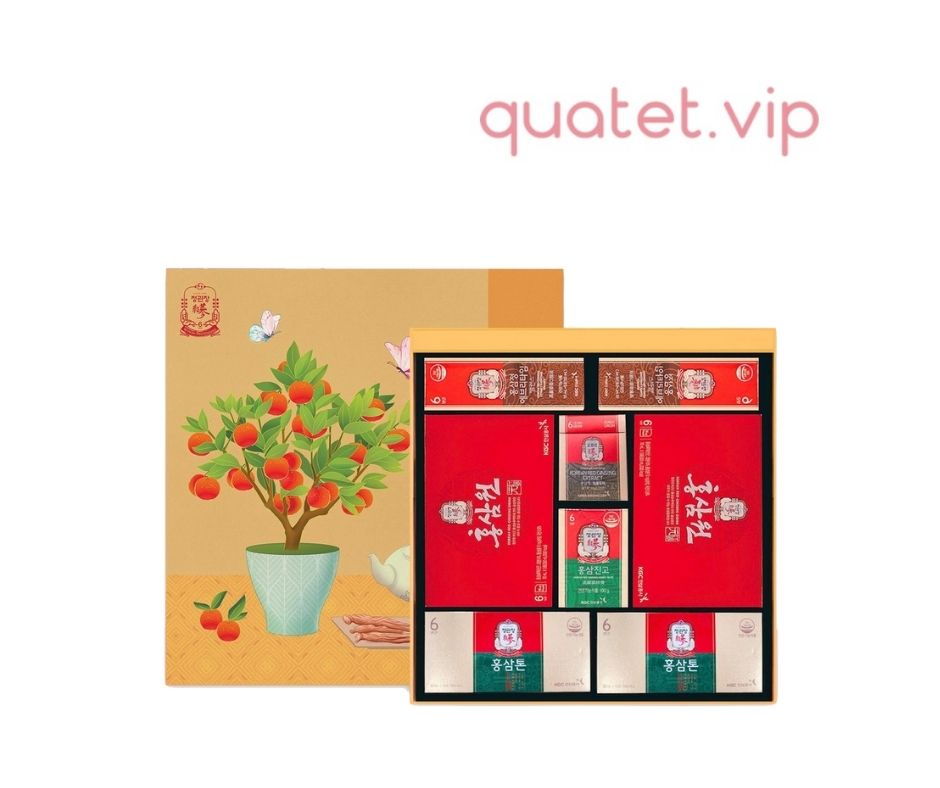 Hộp Quà Xuân Cao Cấp KGC Cheong Kwan Jang THỌ TRƯỜNG XUÂN