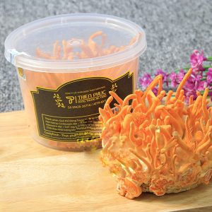 Thực phẩm bảo vệ sức khỏe Đông trùng hạ thảo nuôi cấy nguyên hộp - Ảnh 5